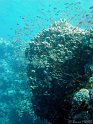 DSC09272 - 050330 - Habili ALi - Ambiance